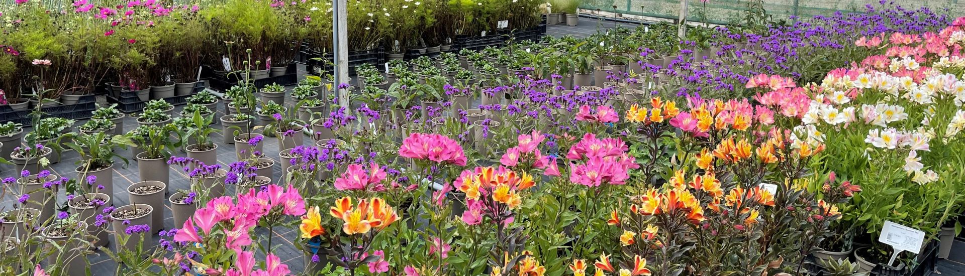 Hortus Loci Garden Centres in Hampshire