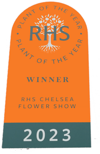 RHS Chelsea Plant of the Year 2023