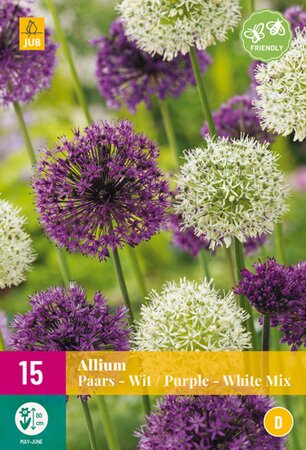 Allium Purple/White Mix XL