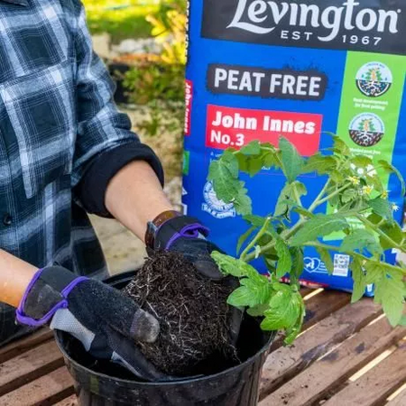 Levington Peat Free Compost with JI no. 3