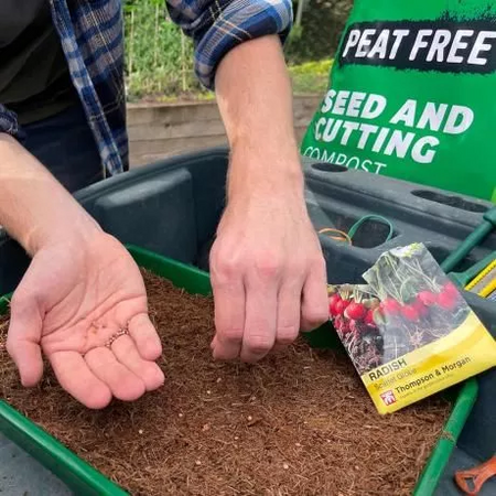 Levington Peat Free Seed Compost 