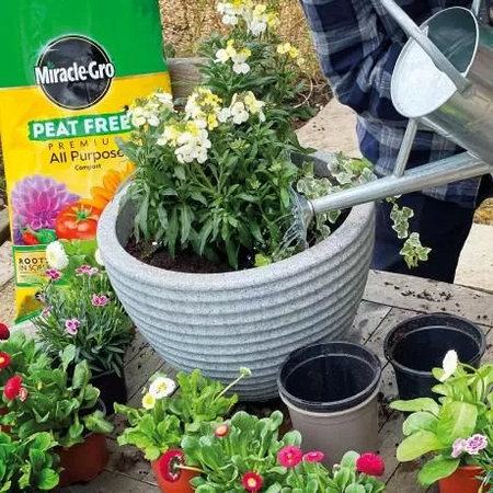Miracle Gro Peat Free All Purpose Compost