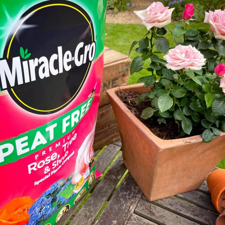 Miracle Gro Peat Free Fruit and Veg Compost