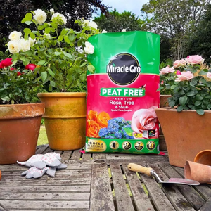 Miracle Gro Peat Free Fruit and Veg Compost