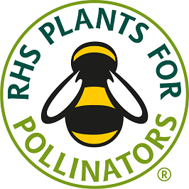 RHS Plants for pollinators